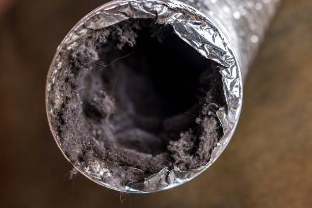 Best Dryer Vent Cleaning Services  in Oak Harbor, OH