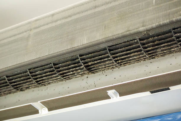 Best Air Duct Cleaning Company Near Me  in Oak Harbor, OH