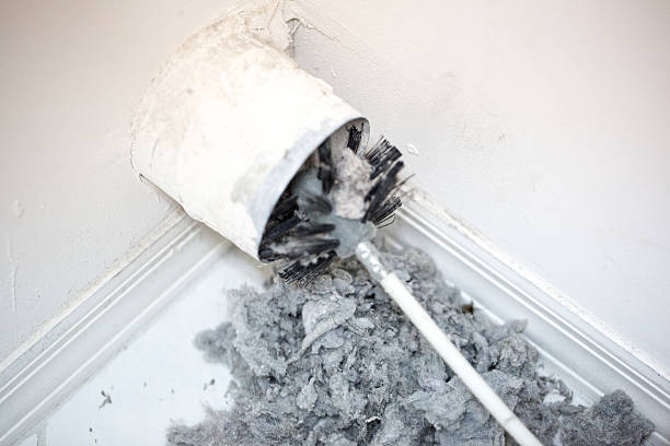 Best Affordable Duct Cleaning Services  in Oak Harbor, OH